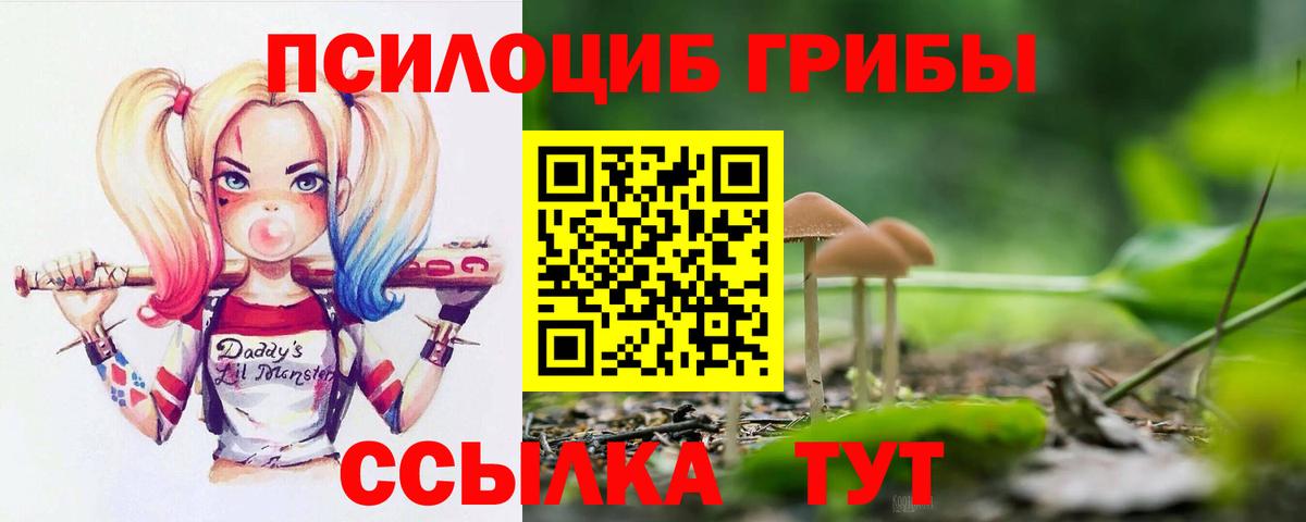 Галлюциногенные грибы прущие грибы  Псилоцибиновые грибы прущие грибы  Фролово  Вход с VPN 